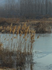 1215574