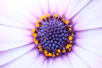 DSCF3129(1)