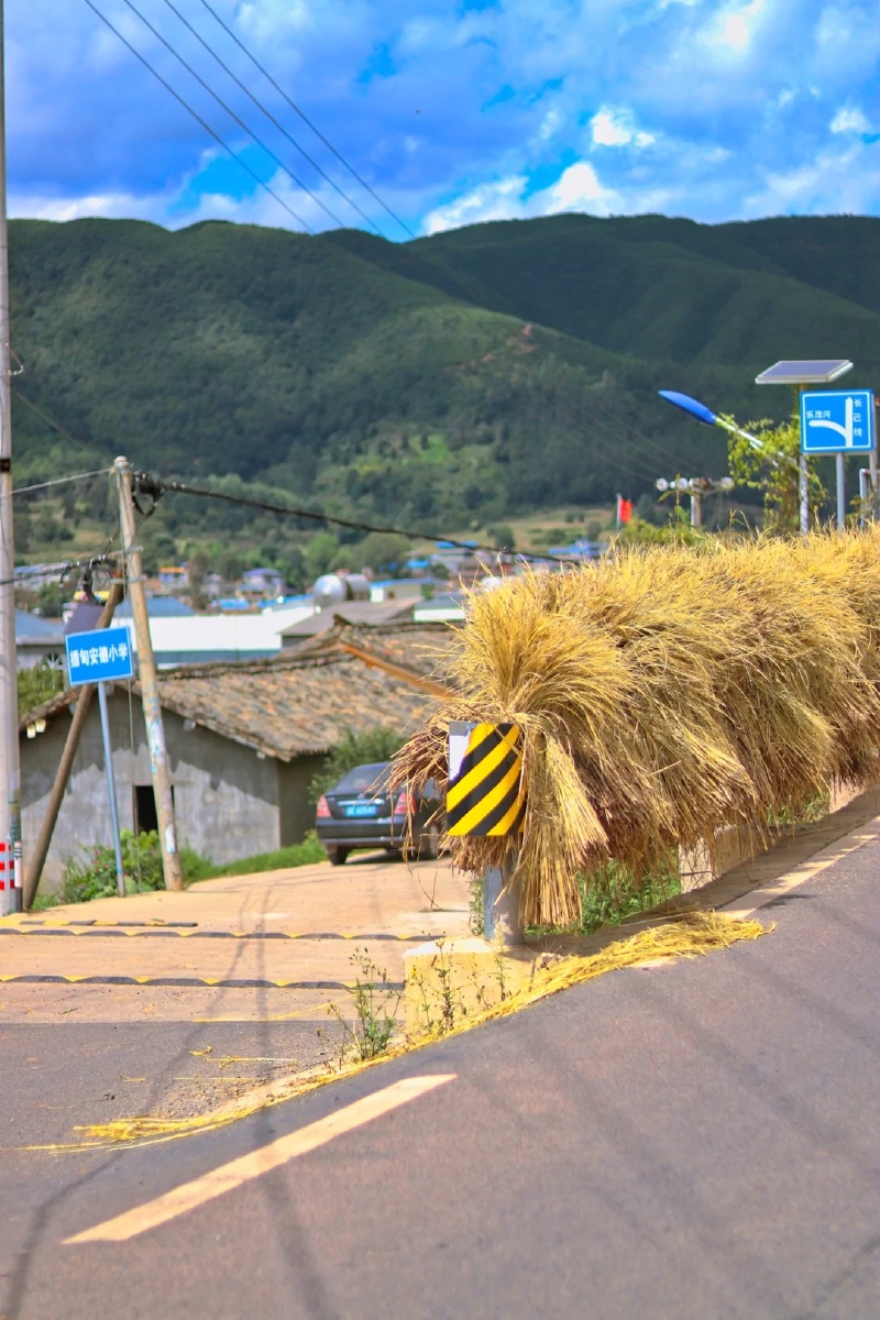 农村风景图