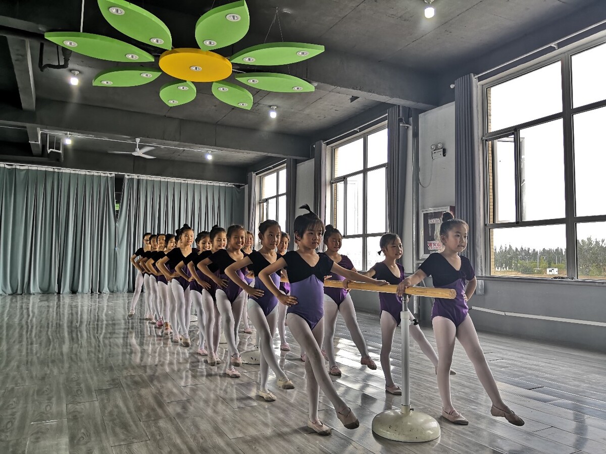 舞蹈艺术类大学,中国舞蹈专业学院有哪些专业?