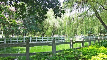 1 (12)_meitu_8