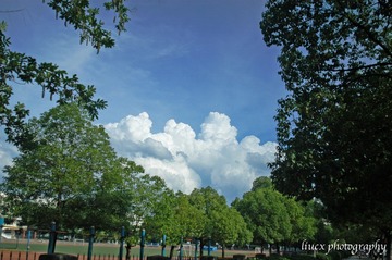 DSC_0006-7-7