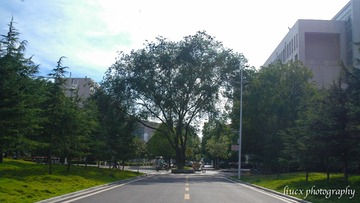 DSC_0025-8-8
