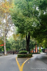 DSC_0027-11-11