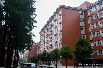 DSC_0033-12-12