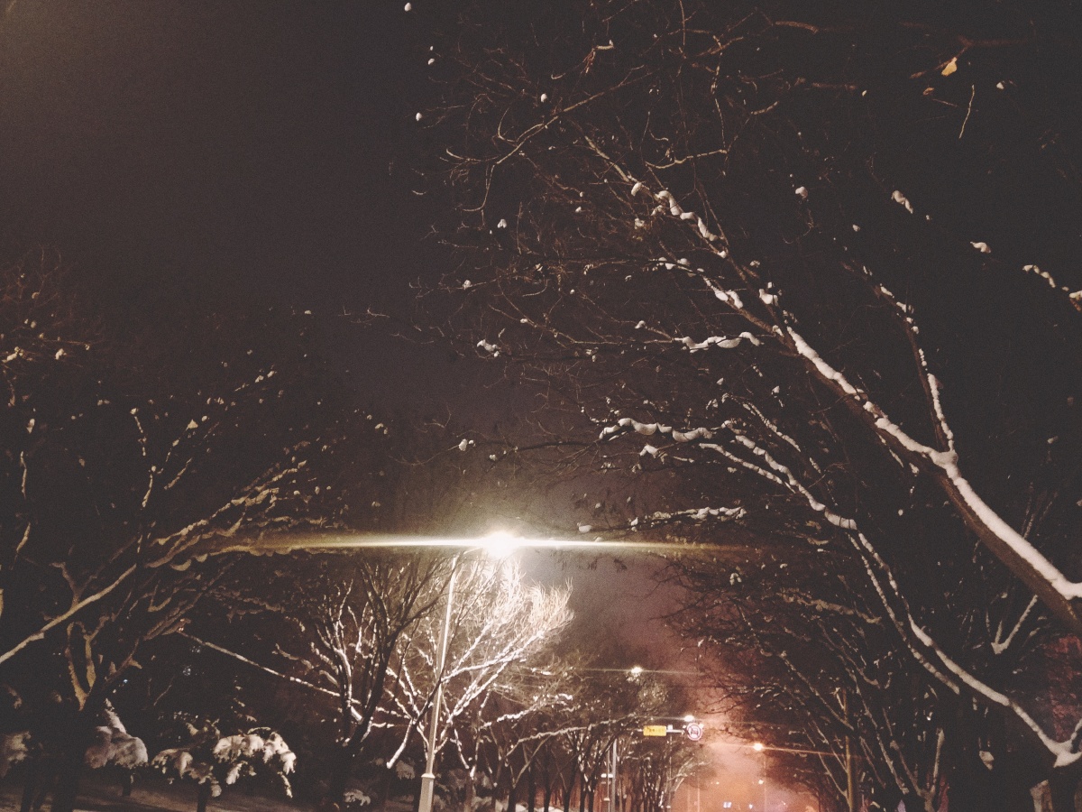 用户155964149463386