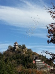 20141026_091741