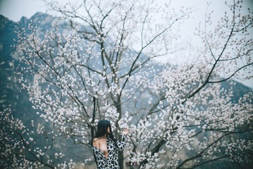 L1001712-编辑