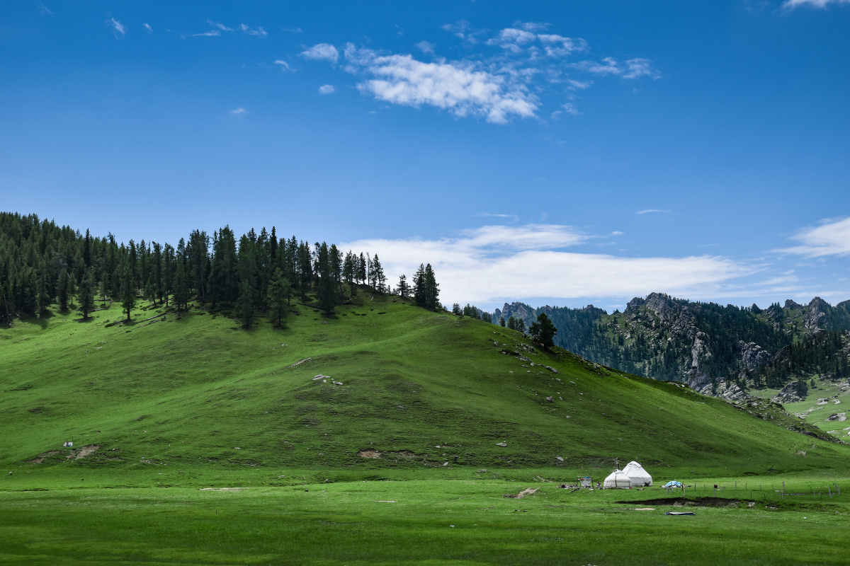 中国新疆富蕴县高山夏季牧场风光