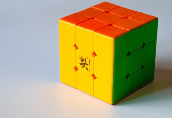 大雁展翅