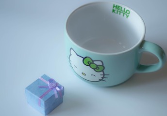present for kitty