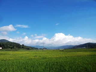 DSC04380_