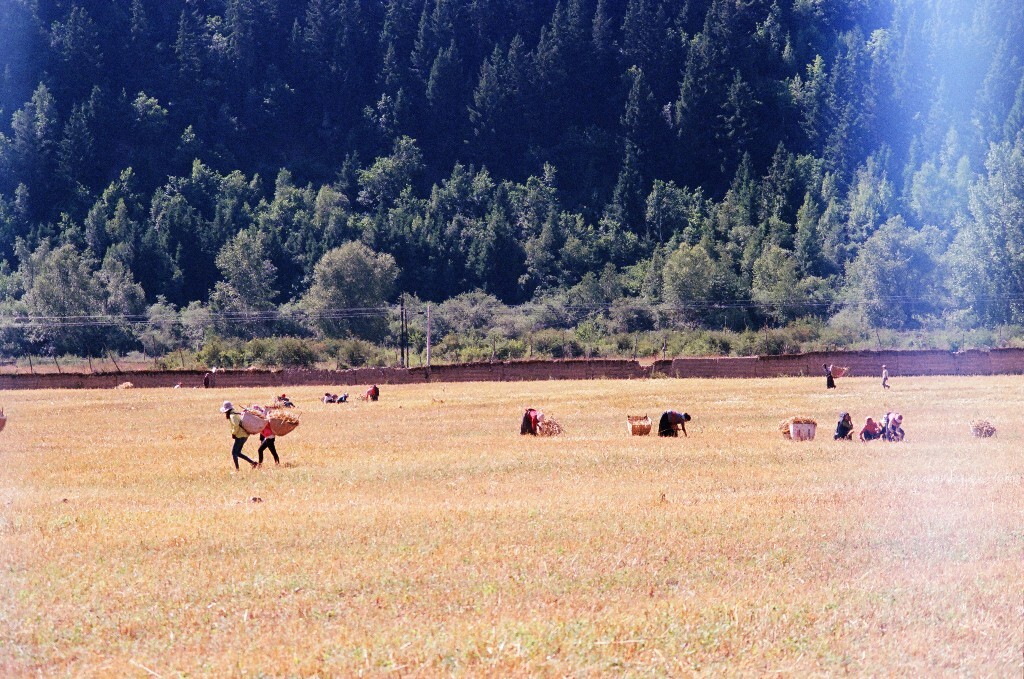 Kodak Ektar100<br />
Minolta 70-210/4