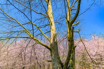DSC06487-编辑
