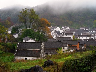 CF015469_1