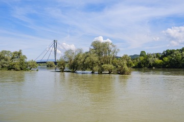 CF021787_1