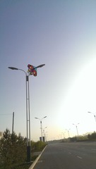IMAG0165