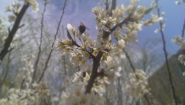 IMAG0109