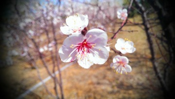 IMAG0098