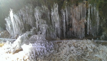 IMAG0051