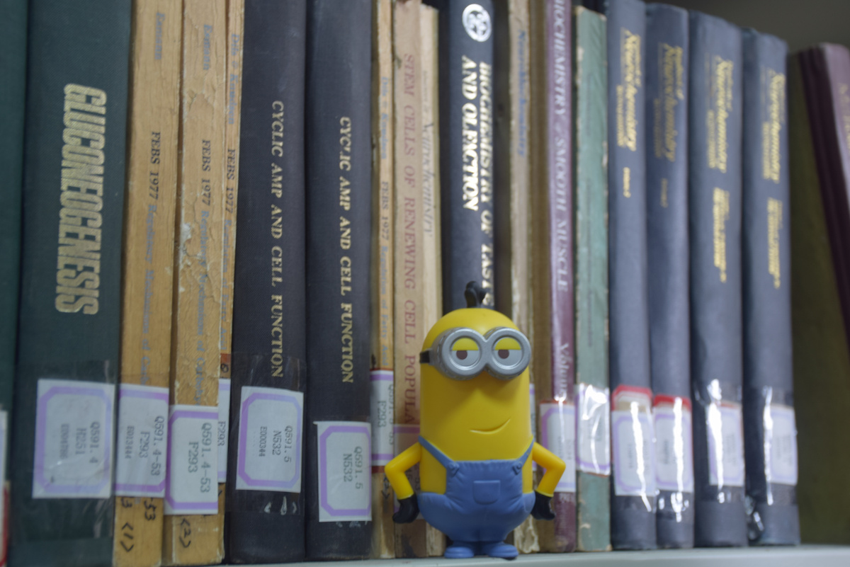 毕业季 带着小黄人逛校园 - 尼康, 小品, 福州 - l