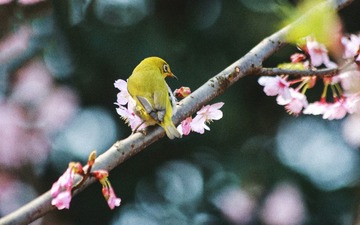 1M4A6005_