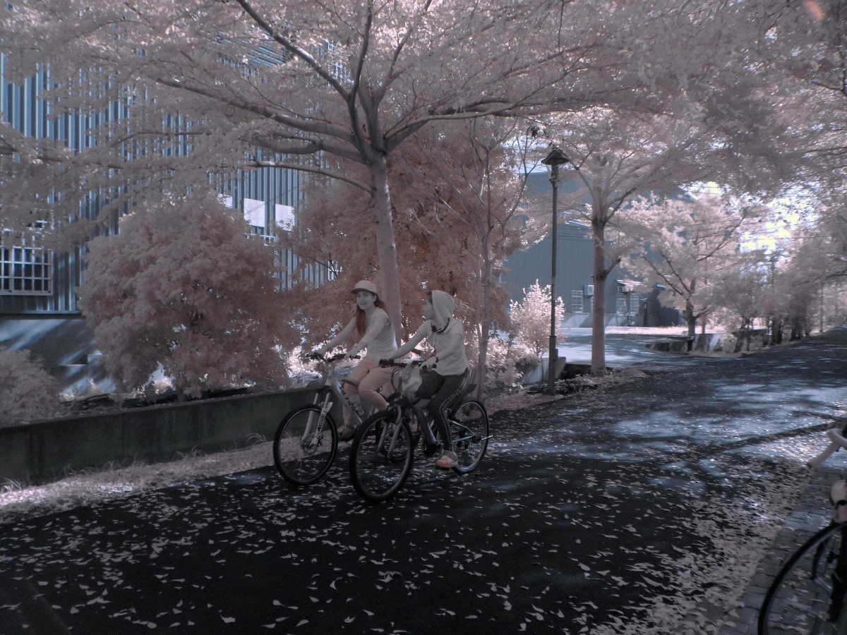 红外线热 - 风光, 街拍 - Alumi18 - 图虫摄影网