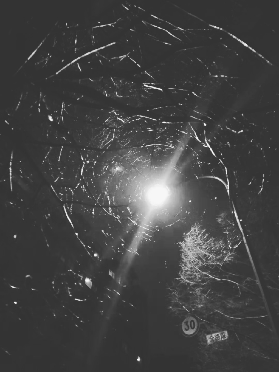 一直在黑暗里突然有一束光照进来那么这束光便有罪