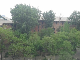 IMG_20150428_120638