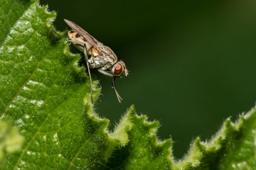 _DSC5403