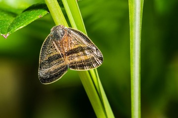 _DSC6348