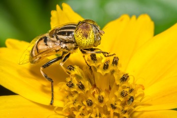 _DSC6351