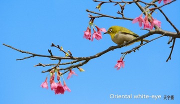 DSC_0641_conew2