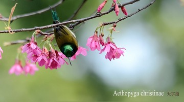 DSC_0579_conew2