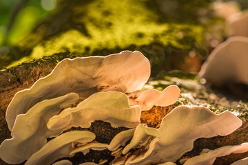 _DSC1228