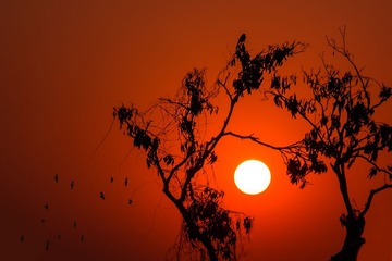 _DSC71833f
