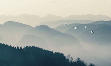 DSC_4985y