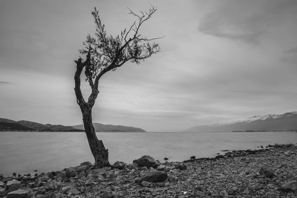 苍山不墨千秋画，洱海无弦万古琴
