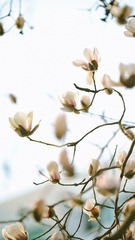 D6986145-A94E-4B4C-93D7-FB94553E4704/L0/001