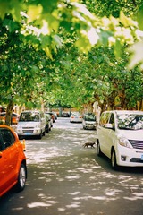97B1452E-55BB-4B28-8EFE-72D27AF08614/L0/001