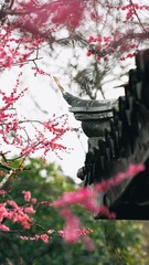 E7099F33-B6F5-48F7-A1C2-6C2B3E2DCBB5/L0/001
