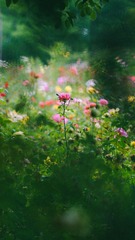 041DB320-A808-4AF0-94CC-CB964EA4A94F/L0/001
