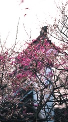 E46EB4C6-DA98-4E95-830C-7345C25824DB/L0/001