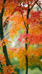 95E8867C-2281-4043-B4D2-1E5B22561CA5/L0/001