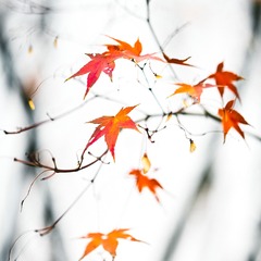 A7AE5CA0-39F0-4F41-AE40-BA814EB1E95A/L0/001