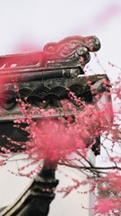 ADC0192B-352F-4C86-A600-A60A199F985B/L0/001