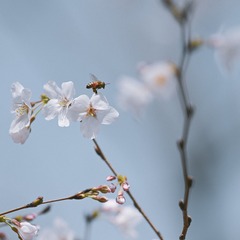 F290841C-045F-4C28-A2E3-950510CE07B6/L0/001