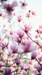 03478952-6DB1-4C4F-8AEE-A13BCBBA85FF/L0/001