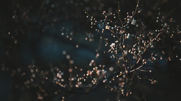 A5FB8DC9-698F-4C81-BADD-228AAFB4541F/L0/001