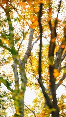 0AC68F08-986E-42C9-83A1-BE00AAD7F3AB/L0/001